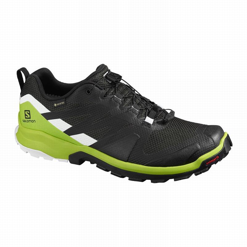 Salomon Singapore Mens Hiking Shoes - XA ROGG GTX Black/Light Green | 97140-LBTE